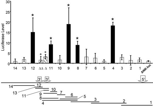 Figure 4. An enhancer element in the ANK1E DNase I–sensitive chromatin domain. Overlapping fragments of the ∼ 11 kb region (shown below with the locations of 5′HS, 3′HS1, and 3′HS2) were cloned into an ANK1/luciferase vector and transfected into K562 cells. The bar graph shows the relative luciferase expression of each fragment compared with the ANK1E promoter alone. The black bars indicate fragments with significantly higher levels of luciferase expression (*P < .01). Mutation of the NF-E2 (Δ) or NF-E2/AP1 (ΔΔ) binding sites abolishes the activity of 3′HS1 (+, P < .01; compared with wild-type fragment 11).