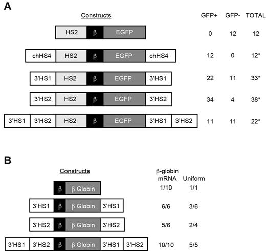 Figure 5. In vitro and in vivo analysis of barrier activity. (A) Constructs on the left were cotransfected into K562 cells with a pRSVneo plasmid, and individual clones were isolated in G418. After transfer to nonselective medium, the clones were assayed for GFP expression. The table at the right shows the number of GFP-expressing (GFP+) and -silenced (GFP−) clones. Significant resistance to silencing is indicated by asterisks (*P < .05). (B) Constructs on the left were used to generate transgenic mice. The table on the right shows the number of lines expressing huβ-globin mRNA (isolated from red blood cells obtained by bleeding of anemic adult mice) and the number of lines with uniform expression of huβ-globin protein (isolated from red blood cells obtained by bleeding of adult mice) for each line with sufficient levels of huβ-globin protein for analysis.