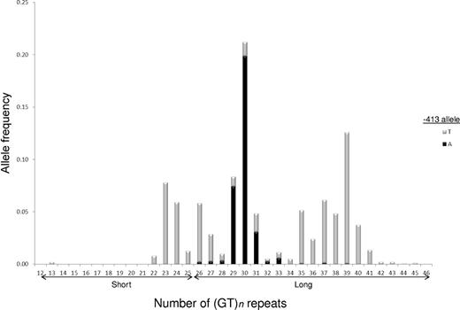 Figure 1. Trimodal HMOX1 (GT)n repeat distribution among 942 participants with SCD in the SIT Trial. Allele lengths were scored as number of dinucleotide repeats and ranged from 13 to 45 repeats. Individual (GT)n alleles assigned to −413 T (gray bars) or A (black bars) chromosomes by PHASE 2.1 haplotype estimation. Initial analyses were performed by grouping observed HMOX1 (GT)n repeat sizes into 2 allele classes: short (S) with ≤ 25 repeats and long (L) with > 25 repeats.