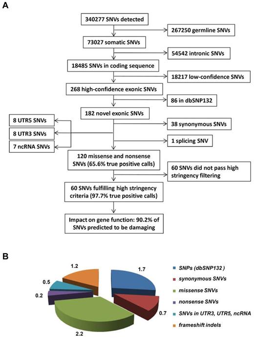 Figure 1. Overview of the data-filtering procedure for the identification of single nucleotide variations (SNVs) in paired tumor-remission AML samples (n = 50). (A) Overview and numbers of SNVs in the individual filtering steps. A detailed description of the filtering parameters is given in supplemental Methods. All detected SNVs and indels are listed in supplemental Table 4. (B) Mean number of SNVs per patient with certain properties. dbSNP132 indicates single nucleotide polymorphism database, build 132, NCBI; UTR, untranslated region; and ncRNA, noncoding RNA.