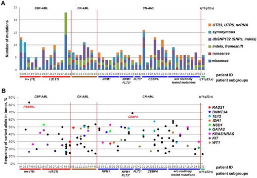 Figure 2. Targeted resequencing results of 50 paired tumor-remission AML samples. (A) Distribution of numbers and categories of somatically acquired point mutations among the 50 cases. (B) Fraction of reads reporting mutated frameshift/missense/nonsense alleles from targeted resequencing data for each case. No frameshift/missense/nonsense mutations were found for cases 26 and 40. Mutations in recurrently mutated AML genes identified in this screen are shown as colored points, with nonrecurrent mutations as black points. CBF-AML indicates core-binding factor AML; CK-AML, complex karyotype AML; CN-AML, cytogenetically normal AML; FLT3*, FLT3 with internal tandem duplications (FLT3-ITD); dbSNP132, single nucleotide polymorphism database, build 132, NCBI; UTR, untranslated region; and ncRNA, noncoding RNA.