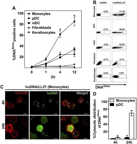 Figure 2. LL37 efficiently transports self-DNA into human monocytes. (A) Degree of association of Alexa488-labeled huDNA-LL37 complexes with human blood-derived immune cells (pDCs, monocytes, and myeloid DCs), and structural nonhematopoietic cells (fibroblasts, keratinocytes) at different time points (0, 1, 4, and 12 hours) after stimulation, assessed by flow cytometry. Alexa488-labeled huDNA alone showed minimal association with all cell types tested. Data are the mean ± SEM of 4 independent experiments. *P < .0001 (paired Student t test). (B) Representative FACS analysis of Alexa488 huDNA-LL37 complex association with human blood-derived immune cells (pDCs, monocytes, and myeloid DCs), and structural nonhematopoietic cells (fibroblasts, keratinocytes) 4 hours after stimulation is shown. (C) Intracellular localization of Alexa488 huDNA-LL37 complexes 4 and 24 hours after stimulation of human monocytes, assessed by confocal microscopy. Green represents Alexa488 huDNA; and red, surface staining of monocytes with Alexa647 HLA-DR. Bar represents 5 μm (D) Percentage of cytoplasmic distribution of Alexa488 huDNA-LL37 complexes 4 and 24 hours after stimulation of human pDCs, and monocytes. Data are representative of 3 independent experiments and are given as mean ± SEM of the percentage of cells with cytoplasmic DNAAlexa distribution; at least 150 cells containing Alexa488 huDNA-LL37 complexes from 10 different fields were counted for each condition. *P < .0001 (paired Student t test).