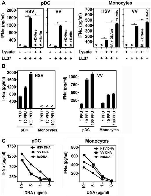Figure 6. In addition to huDNA, LL37 complexes with free microbial/viral DNA for type I IFN induction in monocytes. (A) IFN-α produced by pDCs (5 × 104 cells/condition) and monocytes (2 × 105 cells/condition) after overnight stimulation with lysates of VV and HSV viruses alone or in complex with LL37 (10μM) with or without pretreatment with 50nM bafilomycin. Data are representative of at least 5 experiments; error bars represent the SD of triplicate wells. *P < .0001 (paired Student t test). **P < .01 (paired Student t test). (B) IFN-α produced by pDCs and monocytes after overnight stimulation with increasing titers of VV and HSV viruses. HSV failed to trigger IFN-α release in monocytes; error bars represent the SD of triplicate wells. (C) IFN-α produced by pDCs (5 × 104 cells/condition) and monocytes (2 × 105 cells/condition) after overnight stimulation with increasing concentration of either HSV, or VV, or human genomic DNA from U937 cells (huDNA) in complex with LL37 (10μM). Data are representative of at least 3 experiments.
