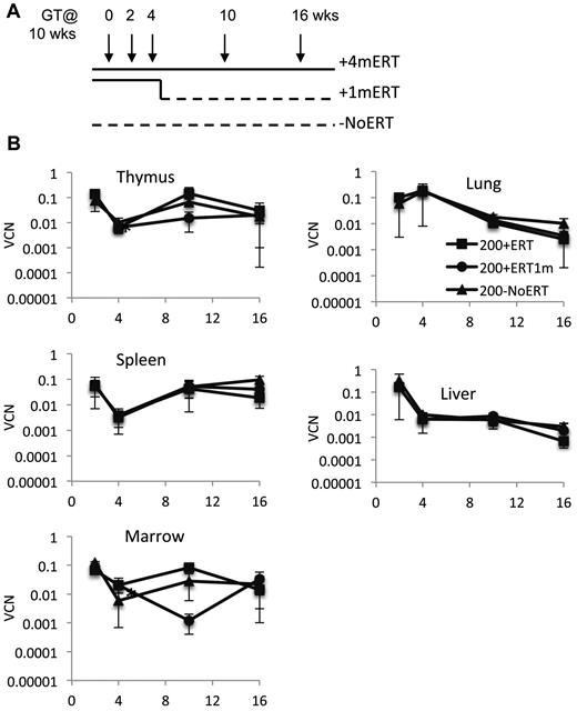 Figure 3. Effects of ERT on survival, VCN, absolute numbers of lymphocytes and gene-marked lymphocytes, and their function after GT. (A) Experimental schema: Ada−/− were conditioned with 200 cGy of TBI, transplanted with transduced marrow, and either remained on ERT for the duration of the experiment (200 + 4mERT: solid line), remained on ERT for 1 month after GT (200 + 1mERT: solid line to dotted line), or did not remain on ERT after GT (200−NoERT: dotted line). Recipients were analyzed at 2, 4, 10, and 16 weeks (per arm: 2 weeks; n = 2, 4 weeks; n = 3, 10 weeks; n = 4, 16 weeks, n = 4). See Figure 2 for lymphocyte subpopulation analysis and calculation of absolute values (mean ± SEM). (B) VCN. VCN in tissue cell suspensions were measured by qPCR for vector sequence (mean ± SEM). *Significantly lower at 4 weeks than at 2 weeks (P < .05).
