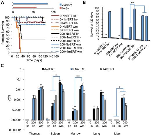 Figure 6. Survival and VCN 4 months after GT with transduced lin− cells or transduced wm cells. The recipients were conditioned with either 0 cGy or 200 cGy and either remained on ERT long term (4 months), short term (1 months), or not at all. (A) Survival. Solid lines are as follows: −NoERT: 0−NoERT lin− (n = 9), 0−NoERTwm (n = 7), 200−NoERT lin− (n = 13), 200−NoERTwm (n = 8). Dashed lines are as follows: +1mERT: 0 + 1mERTlin− (n = 7), 0 + 1mERTwm (n = 4), 200 + 1mERTlin− (n = 7), 200 + 1mERTwm (n = 4). Dotted lines are +4mERT: 0 + 4mERTlin− (n = 7), 200 + 4mERTlin− (n = 11), 200 + 4mERTwm (n = 10). Survival was decreased with no conditioning compared with 200 cGy TBI (P < .0001). (B) Percent survival at day 120. *Survival with no conditioning and no ERT (0−NoERT) after infusion of transduced lin− or transduced wm cells was significantly decreased compared with all others (P < .01). **Survival in 200−NoERTlin− mice was significantly less than 200 + 1mERTlin− or 200 + 4mERTlin− mice (P < .05). (C) VCNs in cell suspension of tissues analyzed 4 months after GT: 200−NoERTlin− (n = 5), 200 + 1mERTlin− (n = 6), 200 + 4mERTlin− (n = 11), 200−NoERTwm (n = 8), 200 + 1mERTwm (n = 4), or 200 + 4mERTwm (n = 10; means ± SEM). *Spleen VCN is significantly greater in 200−NoERTwm compared with 200−NoERTlin−, 200 + 1mERTlin−, 200 + 4mERTlin−, and 200 + 4mERTwm (P < .05). **Marrow VCN is significantly greater in 200 + 1mERTwm compared with 200 + 1mERTlin− (P < .05).