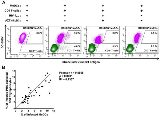 Figure 2. Detection of intracellular HIV-1 p24 Ag production in immature MoDCs and primary autologous PHA-activated CD4 T lymphocytes. (A) Dot-plot representations of MoDCs (in pink), infected with primary HIV-1 or uninfected, and CD4 T lymphocytes (in green) in the coculture. We differentiated between MoDCs and CD4 T lymphocytes on flow cytometry by analyzing the expression of DC-SIGN+ (CD209+) and CD3+, respectively. The HIV-1 reverse transcriptase inhibitor AZT was added to the coculture at the same time as CD4 T lymphocytes as a negative control for HIV-1 replication. Experiments were performed in duplicate and the mean percentages of intracellular p24+ MoDCs or CD4 T lymphocytes are shown in the dot plot. (B) Curve for the correlation between the mean values of the percentage of infected MoDCs and infected primary PHA-activated CD4 T lymphocytes in coculture conditions. The Pearson correlation coefficient and its significance are shown. n = 38 experiments performed with cells from different healthy blood donors for panels A and B.