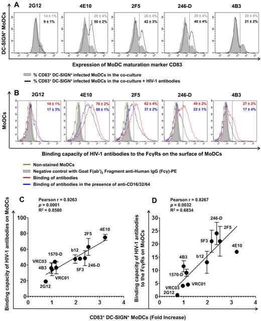 Figure 5. MoDC maturation, capacity of HIV-1 Abs to bind MoDCs, and their correlation. (A) The percentage of CD83+ DC-SIGN+ MoDCs in the coculture was determined in the presence or absence of HIV-1–specific Abs (100 μg/mL) after 48 hours of infection. All experiments were performed at least 5 times with cells from different healthy blood donors. Representative data are shown and are expressed as means ± SD. (B) The capacity of various anti–HIV-1 Abs to bind MoDCs was determined (red curve). FcγRs were blocked by adding 10 μg/mL of anti-FcγRI (CD64), anti-FcγRII (CD32), and anti-FcγRIII (CD16) to MoDCs for 30 minutes before adding the various anti–HIV-1 Abs (2G12, 4E10, 2F5, 246-D, and 4B3) at a concentration of 100 μg/mL (blue curve). The capacity of Abs to bind to FcγRs corresponds to the difference between the capacity of Abs to bind MoDCs (red value) and the capacity of Abs to bind MoDCs in the presence of anti-FcγRs Abs (blue value). Representative data are shown and are expressed as means ± SD. The correlation between the capacity of anti–HIV-1 Abs (at a concentration of 100 μg/mL, except for VRC01 and VRC03, which are 50 μg/mL) to bind to the surface of MoDCs (C) or to FcγRs (D) and MoDC maturation (fold increase in CD83+ DC-SIGN+ MoDCs) was analyzed. Data are the means ± SD of 2 independent experiments performed with cells from 2 healthy blood donors. Correlations were analyzed by calculating the Pearson correlation coefficient, with P < .05 considered significant.