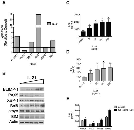 Figure 6. IL-21 regulates gene and protein expression in WM. (A) qRT-PCR analysis of transcription factors involved in B-cell differentiation. MWCL-1 cells were treated with 100 ng/mL IL-21 for 48 hours, at which time mRNA was extracted and qRT-PCR was performed. Data are presented as the fold change in expression relative to untreated MWCL-1, with a value of 1 indicating no change in transcript expression on treatment with IL-21. Representative data from 1 of 3 separate experiments are shown. (B) Immunoblot analysis of transcription factors involved in B-cell differentiation. MWCL-1 cells were treated with increasing concentrations of IL-21 (0-200 ng/mL) for 72 hours, at which time cells were lysed with RIPA buffer and SDS-PAGE was performed. After probing for specific transcription factors, blots were stripped and reprobed for actin, which was used as a loading control. Shown are representative blots of 3 separate experiments. (C-D) ELISA was performed for (C) IL-10 or (D) IL-6 with the use of cell-free supernatants collected from MWCL-1 cells cultured in IL-21 for 72 hours. Each experiment was performed in triplicate on 3 separate occasions, and data represent the mean ± SD. (E) Freshly sorted CD19+CD138+ WM tumor cells (n = 4; WM26-28, WM19) were cultured with or without IL-21 for 72 hours. Cell-free supernatants were collected, and the concentration of IL-6 was determined by ELISA. Data represent the mean ± SD of a single experiment performed in triplicate. *Statistically significant at P < .05.