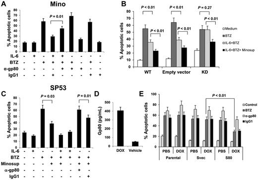 Figure 4. Autocrine or paracrine gp80 protects MCL cells against apoptosis. Percentages of apoptotic: (A) Mino cells in cultures with or without addition of IL-6 (0.5 ng/mL), gp80-neutralizing antibodies (α-gp80; 10 μg/mL), or control IgG1 for 2 hours before BTZ (10nM) was added to the culture for additional 48 hours; (B) gp80-knockdown (KD), wild-type (WT), or empty vector-transfected Mino cells (Empty vector) in cultures with or without addition of IL-6 (0.5 ng/mL) or Minosup for 2 hours before BTZ (10nM) was added to the culture for additional 48 hours; or (C) SP53 cells in cultures with or without addition of IL-6 (0.5 ng/mL), Minosup, gp80-neutralizing antibodies (α-gp80; 10 μg/mL) or control IgG1 for 2 hours before BTZ (10nM) was added to the culture for additional 48 hours. (D) ELISA showing the levels of gp80 secreted by conditional, gp80-expressing stable SP53 cells induced by doxycycline (DOX) or vehicle. (E) Percentage of apoptotic gp80-transfected (S80), empty vector-transfected (Svec), or parental SP53 cells, pretreated with PBS or DOX overnight, in cultures with addition of gp80-neutralizing antibodies (α-gp80; 10 μg/mL) or control IgG1, and/or BTZ (10nM) for 48 hours. Results of 3 independent experiments are shown. The P values in the graphs show comparison as indicated.