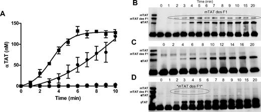 Figure 7. Thrombin-generation potential of RBCs. WB was drawn via phlebotomy into 0.1 mg/mL of CTI and washed as described in “Methods.” Washed RBCs were counted and stored at 37°C. (A) IIase (20nM fVa, 200pM fXa final concentrations) was assembled in samples containing 250nM PCPS (■), 40% washed RBCs (●), RBCs pretreated with 40nM bovine lactadherin (*), RBC wash supernatant (▾), or no exogenous surface (▴), and the reactions were initiated with a solution containing prothrombin and AT (1.4 and 3.4μM final concentrations, respectively). Aliquots were removed at selected time points, quenched with EDTA and Phe-Pro-Arg chloromethylketone, and the soluble fraction was analyzed via αTAT ELISA and Western blotting. Data are shown as the means ± SEM (n = 5). Western blotting was performed on nonreduced samples probing with the burro anti-AT polyclonal Ab. Lane 1 shows the mTAT/mTAT des F1/αTAT standard; lanes 2-, 0- to 20-minute time-course samples. (B) Representative Western blot from PCPS prothrombinase time course. (C) Representative Western blot from RBC prothrombinase time course. (D) Representative Western blot from a PMA-treated RBC prothrombinase time course.