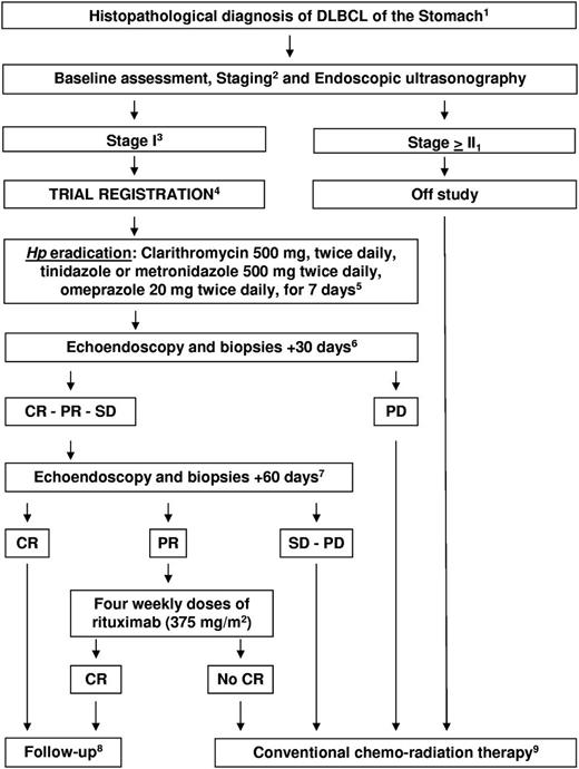 Figure 1. Study algorithm. 1Diagnostic biopsies underwent centrally pathology review.6 2Baseline and staging procedures: hemogram, biochemical profile, HIV, hepatitis B and C viruses' infection markers, contrasted thorax-abdomen CT scan, bone marrow biopsy, breath test, gastroscopy with at least 5 biopsies for each lesion and random sampling of residual normal mucosa, and echoendoscopy to evaluate gastric wall thickness and perigastric lymph nodes. The choice of areas suitable for biopsies was driven by echoendoscopy. Hp infection was confirmed by gastric biopsies ± breath test. 3Perigastric lymphadenopathies of a diameter < 1.5 cm were admitted to avoid a potential selection bias related to specificity limits of echoendoscopy. This cut-off was in line with the cut-off value used by standardized lymphoma criteria to define lymph-node infiltration when assessed by non-functional exams.7 4Sample size was not prospectively estimated in comparison with ORR reported with conventional chemo-radiotherapy (90%-100%) since it would request a non-inferiority design and hundreds of patients. Written informed consent was obtained from each registered patient; the trial conformed to the tenets of the Declaration of Helsinki and was approved by the IRB of participating centers. 5Patients who failed eradication received a second-line antibiotic therapy following local guidelines. 6The primary end point was overall response rate (ORR) after Hp eradication. Response was defined according to standardized criteria.7 Residual macroscopic abnormalities at endoscopic examination or residual perigastric lymph nodes measuring < 1 cm in diameter or gastric wall alterations at ultrasonography were considered as CR if histopathologic examination did not show lymphomatous infiltration. Persistence of areas of MALT and/or DLBCL in histopathologic specimens in patients with normal/improved gastric aspect at endoscopy and ultrasonography were considered as PR. 7Enhanced total-body CT scan was performed to exclude systemic dissemination. 8Physical examination, hemogram and biochemical profile, gastroscopy, gastric echoendoscopy, and enhanced CT scan every 3 months for the first 2 years, every 6 months from the 3rd to the 5th year, and once a year from the 6th to the 10th year. 9CHOP or CHOP-like regimens ± rituximab ± radiotherapy (physician's preference).