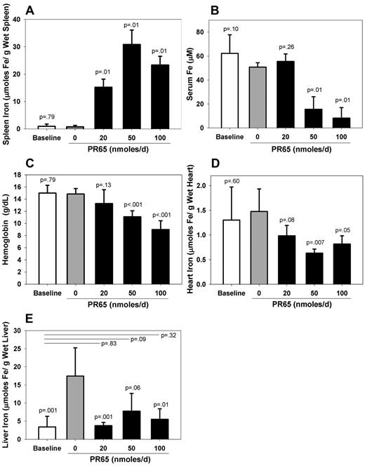 Figure 4. PR65 prevented iron loading in iron-depleted hepcidin knockout mice. All mice were placed on an iron-deficient diet (4 ppm iron) from ages 5 to 6 weeks until 12 weeks. The “baseline” group (n = 7) was examined at 12 weeks of age (white bars). The rest of the mice were fed an iron-loading diet (300 ppm) for 2 more weeks while receiving daily subcutaneous injections of solvent (gray bars, n = 6) or PR65 at 20, 50, or 100 nmol per day (black bars, n = 4 per dose). The mice were analyzed 24 hours after the last injection. Compared with solvent, PR65 injections resulted in: (A) iron retention in the spleen, (B) a dose-dependent decrease in serum iron, (C) a corresponding dose-dependent decrease in Hb levels, (D) a decrease in heart iron at higher doses, and (E) decreased liver iron. Liver iron content in PR65-injected mice did not significantly differ from that in the baseline group of mice, indicating that little to no new iron was absorbed or deposited in the liver during the 2-week treatment. Graphs show means and standard deviations. Student t test was used to compare the mean of each condition to that of solvent treatment (P value over bars). In panel E, mean of each condition was also compared with the baseline (P values at lines over bars).