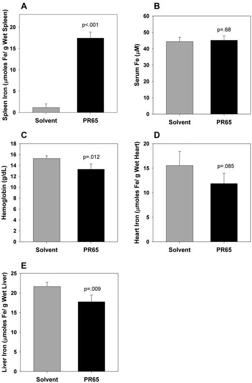Figure 6. Two-week PR65 treatment of iron-loaded hepcidin knockout mice caused modest redistribution of iron. Hepcidin knockout mice were kept on a 300 ppm iron diet for their entire lifespan. Starting at 12 weeks of age, one group of mice was injected subcutaneously with solvent (n = 4) and the other with 50 nmol of PR65 (n = 4) daily for 2 weeks. Iron and hematologic parameters were measured 24 hours after the last injection. In PR65-treated mice compared with solvent-treated mice: (A) spleen iron increased more than 15-fold confirming PR65 activity; (B) serum iron concentrations were similar 24 hours after the last injection; (C) hemoglobin decreased by 2 g/dL indicating iron restriction to erythropoiesis; (D) heart iron tended to decrease, though the difference was not statistically significant at the number of mice tested; and (E) liver iron decreased by approximately 20%.