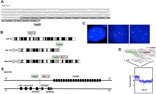 Figure 1. Cloning of the of the t(X;14)(p11;q32) translocation breakpoint in MALT lymphoma. (A) Sequence of the t(X;14)(p11;q32) breakpoint. DNA sequence from Xp11.4 is shown in gray and IGHA2 in black. (B) Chromosomal location of the breakpoints on chromosome 14 and X and the structure of der.14 Idiogram Album: copyright 1994 David Adler. (C) Interphase FISH analysis of the t(X;14) index case. In the left panel the Xp11.4 BAP probe shows a 1R2G1F pattern, indicative of splitting of Xp11.4 as well as an extra copy of the distal (green) Xp arm. In the middle panel the IGH BAP probe shows a 2R1G1F pattern, consistent with the presence of 2 translocations, the first occurring within the typical IGH breakpoint region (indicated by 1 red and 1 green signal) and the second occurring proximally to the typical IGH breakpoint (indicated by 1 red and 1 fusion signal). In the right panel the t(X;14)(p11.4;q32) dual fusion probe shows a 1R1G3F signal pattern. (D) Array CGH analysis of tumor cells from the t(X;14) patient, showing an extra copy of the distal portion of chromosome X up to the position of the Xp11.4 BAP FISH probe. (E) Predicted gene organization of der.14