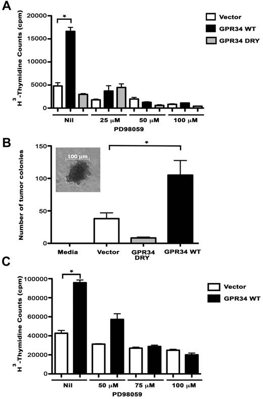 Figure 4. GPR34 overexpression enhances cell proliferation of HeLa and lymphoma B cells. (A) Proliferation of HeLa vector control, WT, or DRY cells alone or in the in the presence of 25 to 100μM PD98059 was analyzed. *Compared with the vector control, WT cells have a significant increase in cell proliferation (P < .0001). (B) Tumor colony-forming assays were performed on HeLa vector control, WT, and DRY cells. A media control with no cells was included as a negative control. Photomicrograph of tumor colony in inset, scale bar, 100μM. *Compared with the vector control (P = .05) or DRY (P = .01), WT cells have a significant increase in colony formation (n = 3). (C) Proliferation of OCI-Ly19 vector control or WT cells alone or in the presence of 50 to 100μM PD98059 was analyzed (n = 3, representative experiment shown). *Compared with the vector control, WT cells have a significant increase in cell proliferation (P = .0002).