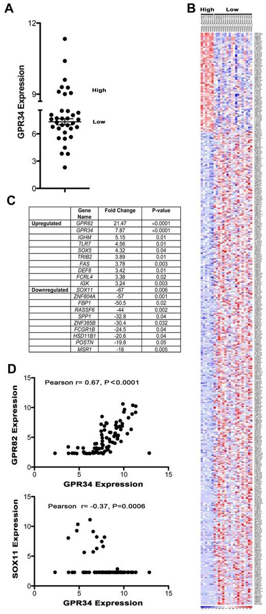 Figure 5. High expression of GPR34 distinguishes a unique molecular subset of MZLs and correlates with GPR82 and SOX11 expression. (A) GEP data from NMZBL tumors (n = 34) was used to classify GPR34 high and low-expressing tumors. High is defined as those tumors that express GPR34 at levels greater than 2 standard deviations above the mean of the normal controls. (B) Heatmap of GPR34 high and low expressing NMZBCL tumors. (C) Table of 10 most up-regulated and down-regulated genes in GPR34 high tumors. (D) Correlation of GPR34 expression with GPR82 and SOX11 in MZL (n = 83).