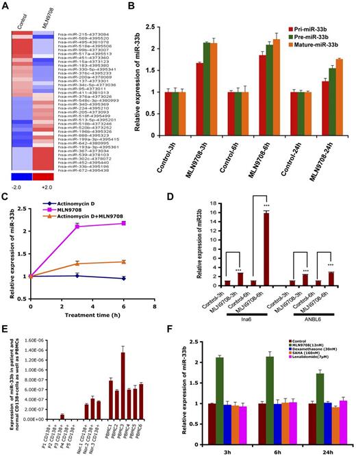 Figure 1. MLN2238-induced miR profiling in MM cells and expression of miR33b in MM and normal cells. (A) MM.1S MM cells was treated with vehicle or MLN2238 (12nM) for 3 hours and cells were harvested. RNAs were isolated for miR profiling using ABI Gene Card A Version 2. The data were analyzed by dCHIP and a minimum difference of ≥ 1.5 ΔΔCt value of a miR between control and test samples is shown. Blue represents down-regulated and red represents up-regulated miRs. (B) MM.1S cells were treated with vehicle or MLN 2238 (12nM) for indicated times and then cells were harvested. RNAs were isolated and subjected to qRT-PCR to examine the expression of pri-miR33b, pre-miR33b, and mature miR33b. (C) MM.1S cells were treated with Act-D (5 μg/mL), MLN2238, or Act-D + MLN 2238 (12nM) for the indicated times. The cells were harvested and RNAs were prepared to examine the expression of miR33b. (D) INA6 and ANBL6 MM cells were treated with vehicle or MLN 2238 (12nM) for the indicated times and then harvested. RNAs were isolated and subjected to qRT-PCR to examine the expression of miR33b. (E) RNAs were isolated from purified patient MM cells, normal CD138+ cells derived from BM, and PBMCs from healthy donors, followed by analysis of basal expression level of miR33b using qRT-PCR. (F) MM.1S cells were treated with vehicle, dexamethasone (30nM), lenalidomide (7μM), or SAHA (160nM) for the indicated times and then cells were harvested. RNAs were isolated and subjected to qRT-PCR to examine the expression of miR33b. Results shown are means ± SD (n = 3). ***P ≤ .001.