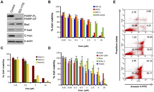 Figure 5. SGI-1776 triggers MM cell death. (A) MM.1S cells were treated with SGI-1776 (3μM) for 24 hours. Total protein lysates were subjected to immunoblotting with the indicated Abs. (B) MM cell lines were treated with SGI-1776 at indicated the concentrations for 48 hours, followed by assessment of cell viability using the MTT assay. Data presented are means ± SD of 3 independent experiments. (C) Purified CD138+ cells were treated with SGI-1776 at the indicated concentrations for 48 hours, and cell viability was measured using the CellTiter-Glo assay. Data are presented as means ± SD of triplicates. (D) Leukemia and lymphoma cell lines were treated with SGI-1776 at the indicated concentrations for 48 hours and cell viability was measured with the MTT assay. Data are presented as means ± SD of 3 independent experiments. (E) MM.1s cells were treated with vehicle or SGI-1776 at 3 and 5μM for 24 hours. Cells were harvested and analyzed for apoptosis by annexin V-FITC/propidium iodide double staining. Data shown are representative of 3 experiments.