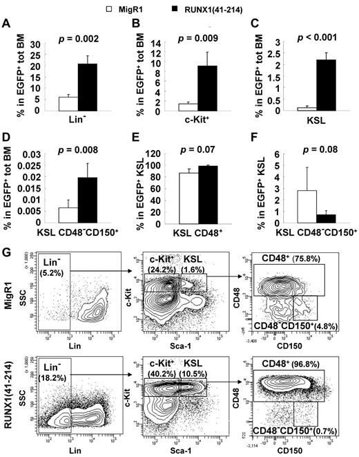Figure 3. Analysis of the premyelodysplastic hematopoietic compartment in RUNX1(41-214) animals. (A-F) Percentage of various hematopoietic populations analyzed on flow cytometry. Average and SD values of MigR1 (□; n = 4) and RUNX1(41-214) (■; n = 5) animals are shown. Animals were analyzed 4-6 months after transplantation. Percentage represents values within EGFP+/RUNX1(41-214) cells. (G) Representative flow cytometric analysis of the stem/progenitor cell compartment. Lin− indicates EGFP+/Lin−/IL7Rα−; c-Kit+, EGFP+/Lin−/IL7Rα−/c-Kit+/Sca-1−; and KSL, EGFP+/Lin−/IL7Rα−/c-Kit+/Sca-1+.