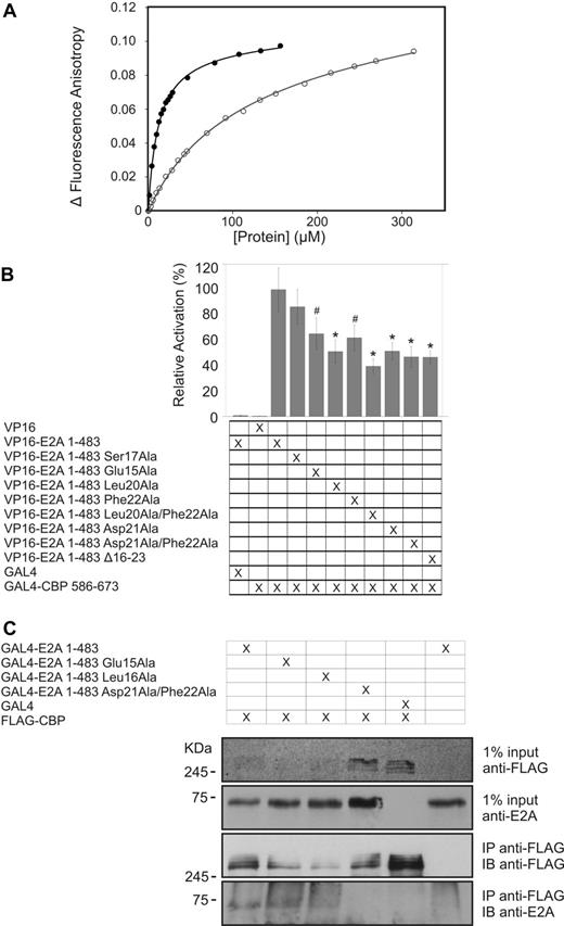 Figure 3. PCET mutations impair KIX binding. (A) Representative binding curves showing the change in fluorescence anisotropy of 5-carboxyfluorescein tagged HEB-PCET (12-25) peptide with increasing total concentration of either wild-type (●) or Lys667Glu mutant (○) KIX. (B) In a mammalian 2-hybrid assay, the KIX domain (residues 586-673 of CBP) fused to a GAL4 DNA-binding domain can recruit E2A to the GAL4 binding sites on a reporter plasmid, driving expression of firefly luciferase. The luciferase expression was normalized against expression of Renilla driven by a constitutively active internal control plasmid used to control for variations in transfection efficiency. Renilla-normalized luciferase expression of E2A (1-483) PCET mutants were measured relative to that seen with wild-type E2A (1-483), with the result presented being the mean from at least 3 independent transfections ± the SD (represented by vertical error bars). #P < .015 vs wild-type 2 × VP16-E2A (1-483). *P < .001 vs wild-type 2 × VP16-E2A (1-483). The results shown in the figure are the mean value from at least 3 independent transfections; error bars represent SD. Statistical significance was measured using a 1-way ANOVA with Tukey post hoc test. (C) SV293T cells were transfected with FLAG-CBP and GAL4-E2A (1-483) or GAL4-E2A (1-483) PCET mutants. Lysates were subjected to immunoprecipitation with anti-FLAG and immunoblotted with anti-E2A yae or anti-FLAG.