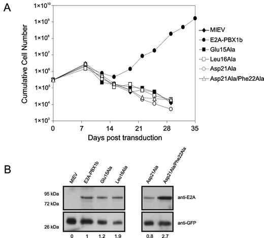 Figure 4. Residues throughout the E2A-PCET motif are critical for oncogenesis. (A) Proliferation of myeloid progenitors associated with retroviral-mediated expression of wild-type E2A-PBX1b and engineered E2A-PBV1b variants. For each construct, 3 × 105 bone marrow cells were cultured in GM-CSF immediately after retroviral infection and counted for 35 days. (B) Western blot of lysates from NIH 3T3 fibroblasts infected with retroviruses forcing expression of the indicated E2A-PBX1b constructs, confirming expression of all the different mutants of E2A-PBX1b. The values presented below the blot represent expression levels of the various E2A-PBX1 mutant constructs, relative to wild-type E2A-PBX1, after normalization according to GFP expression.