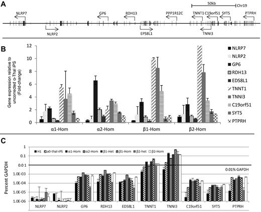 Figure 5. Effect of insertion of therapeutic transgenes on neighboring genes at AAVS1. (A) Top panel shows a map of 10 neighboring genes on chromosome 19 around AAVS1 site. (B) Bar graph illustrates Q-RT-PCR analysis of 10 neighbor genes after differentiation of corrected α0-thal-iPSCs into basophilic erythroblasts (normalized to parental iPSCs). All iPSCs analyzed carried homozygous insertions at AAVS1. mRNA expression levels were calculated using the Delta (δ Ct) method using differentiated uncorrected α0-thal-iPSCs as the controls (n = 3). Four genes were activated. The smallest activation was obtained when the α-globin promoter construct was inserted in the same orientation as the PPP1R12C gene. (C) Same as above but data are expressed relative to GAPDH. Expression of the neighboring genes is low compared with GAPDH.