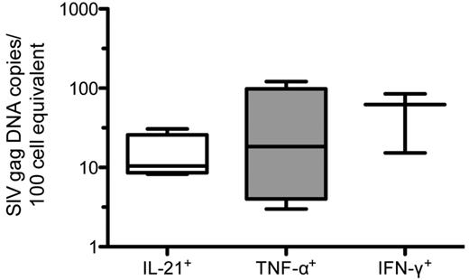 Figure 5. In vivo frequency of infection of splenic CD4+IL-21+ T cells in SIV-infected RMs. CD4+ T cells that produce IL-21, TNF-α, or IFN-γ after in vitro stimulation were sorted by flow cytometry from the spleen of 4 SIV-infected RMs. Cells were initially gated based on light scatter, followed by positive staining for CD3 without binding to the dead cell dye, and then for CD4 (without CD8 staining). Memory CD4+ T cells, gated based on characteristic expression patterns of CD28 and CD95, were then divided based on the production of IL-21, TNF-α, or IFN-γ (as shown in supplemental Figure 3). The infection frequencies of the highly purified splenic CD4+IL-21+, CD4+TNF-α+, and CD4+IFN-γ+ T cells were then determined by quantitative PCR for SIVgag DNA.
