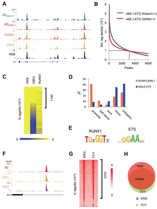 Figure 1. AML1-ETO and ETS factors bind similar genomic regions. (A) Overview of the SPI1 AML1-ETO binding site. Blue represents the Kasumi-1 AML1-ETO (AE) ChIP-seq data; red, the SKNO-1 AML1-ETO (AE) data; orange, the RUNX1 data; green, the CBF-β data; and black, the HEB data. (B) AML1-ETO binding sites detected by ChIP-seq in leukemic Kasumi-1 and SKNO-1 cells. AML1-ETO peaks were called using MACS (P = .00000001) after which relative AML1-ETO density in Kasumi-1 or SKNO-1 cells was determined at these peaks. Results were sorted according to relative tag density, and the top 6000 peaks displayed in a regression curve. A cut-off was set at a relative tag density of 0.0001 (14 tags/kb). (C) Heatmap displaying HEB, CBF-β, and RUNX1 tag densities at the 2754 high-confidence AML1-ETO binding sites. (D) Distribution of the AML1-ETO and RUNX1/AML1 binding site locations relative to RefSeq genes. Locations of binding sites are divided in promoter (− 500 bp to the transcription start site), nonpromoter CpG island, exon, intron, and intergenic (everything else). (E) Overview of the RUNX1 and ETS core binding motif. (F) Overview of the BCL2 AML1-ETO binding site in SKNO-1 cells. Red represents the AML1-ETO (AE) ChIP-seq data; orange, the ERG data; and pink, the FLI1 data. (G) Intensity plot displaying ERG and FLI1 tag densities at high-confidence AML1-ETO binding sites. (H) Venn diagram representing the overlap of ERG and FLI1 binding sites in SKNO-1 cells.