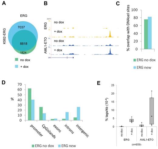 Figure 3. ETS factors facilitate AML1-ETO binding. (A) Venn diagram representing the overlap of ERG binding sites in K562-ERG cells not treated, or treated for 72 hours with dox. (B) ChIP-seq using K562-ERG cells expressing high levels (+ dox) or low levels (no dox) of ERG. Overview of the SPI1 AML1-ETO/ERG binding site in K562-ERG cells, transfected 24 hours before harvesting with AML1-ETO. Blue represents the AE ChIP-seq data; and yellow, the ERG data. (C) Overlap of DNAseI accessibility defined regions with ERG binding sites present before dox induction (ERG no dox) and ERG binding sites that appear after dox induction (ERG new). (D) Distribution of the ERG “no dox” and ERG “new” binding site locations relative to RefSeq genes. (E) Boxplot showing the tag density of AML1-ETO and ERG within “new” ERG binding sites in K562-ERG cells transfected with AML1-ETO and treated or untreated with dox.