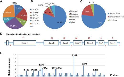 Figure 1. Patterns of TP53 mutations in 506 DLBCL patients treated with R-CHOP. (A) Proportions of classified point mutations. (B) Proportions of mutations based on mutation impact on the p53 protein sequence. (C) Proportions of mutations based on mutation effect on the p53 function. (D) Distribution of mutation numbers according to TP53 exons. The numerals on top are numbers of mutations in exons, and the numerals at the bottom are numbers of mutations in splicing sites. (E) Codon distribution of TP53 mutations. Codons with mutations of high frequency in the cohort are marked.