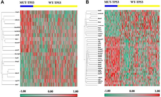 Figure 4. Genes differentially expressed between DLBCL patients with MUT-TP53 and WT-TP53. (A) Fourteen genes significantly differentially expressed in DLBCL patients treated with R-CHOP. (B) Thirty-four genes significantly differentially expressed in the GCB-DLBCL subgroup.