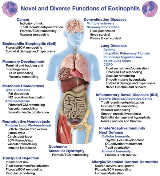 Figure 1. The expanding roles of eosinophils in health and disease.