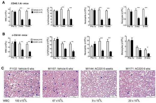 Figure 1. Treatment of c-Cbl RING finger mutant mice with AC220 results in a significant reduction in peripheral WBCs. Two cohorts of mice were examined, lethally irradiated C57BL/6.CD45.1 mice repopulated with BM cells from a c-CblA/− mouse (CD45.1A/−; A) and 8- to 9-month-old naturally bred c-CblA/− mice (B). Both cohorts were bled for 5 days before dosing (Pre-Tx) and after 3 and 6 weeks of dosing. Results are from Hemavet analysis of blood collected from the tail vein. Shown are numbers of WBCs, lymphocytes, neutrophils, and monocytes. The blood counts are expressed as means ± SEM. Treatment of both cohorts with AC220 resulted in statistically significant decreases in WBCs, neutrophil, lymphocyte, and monocyte counts compared with the vehicle-treated mice. *P < .05; **P < .01; ***P < .001 using unpaired Student t test. (C) Representative blood films from 2 vehicle- and 2 AC220-treated c-CblA/− mice after 6 weeks of dosing. The identification numbers and sex of the mice are indicated (F, female) and (M, male). The images were acquired at room temperature using an Olympus BX51 microscope with a 60×/0.09 objective and photographed with an SIS 3VCU Olympus digital camera. Scale bar indicates 50 μm.