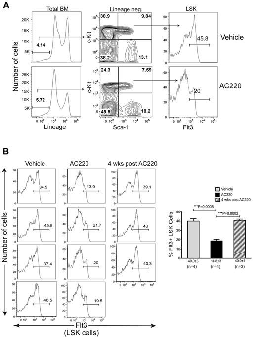 Figure 4. Treatment of c-Cbl RING finger mutant mice with AC220 results in a significant reduction in Flt3+ MPPs. (A) BM cells were analyzed by flow cytometry and shown are examples of the gating parameters used to identify Lin− cells, LSK cells, and LSK Flt3+ cells from c-CblA/− mice treated with vehicle or AC220 for 6 weeks. (B) Cumulative data showing Flt3 profiles of LSK cells from four 8- to 9-month-old c-CblA/− mice that were dosed for 6 weeks with vehicle or AC220. Three mice were also analyzed 4 weeks after AC220 dosing was discontinued. The gate showing the percentage of Flt3+ LSK cells is indicated in each profile. The percentages of Flt3+ LSK cells for each treatment group are expressed as means ± SEM.