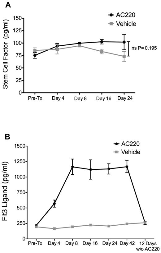 Figure 7. SCF levels are not significantly affected by AC220 dosing and Flt3 ligand levels return to normal within 12 days after AC220 dosing is discontinued. Eight-month-old c-CblA/− mice were dosed daily with AC220 or vehicle and bled from the tail vein at the indicated times. In the experiment shown in panel B, mice were dosed daily for 42 days and then left untreated for 12 days. The levels of (A) SCF and (B) Flt3 ligand were measured by ELISA. Four vehicle- and 4 AC220-treated c-CblA/− mice were followed for the length of the experiment. Serum levels (pg/mL) are shown as means ± SEM.