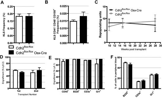 Figure 3. HSC number and long-term repopulating activity are normal in N-cadherin–deleted mice. (A) The frequency of KLS cells (n = 5). (B) The frequency of KLS CD41− CD48− CD150+ (KLS SLAM) cells (n = 5). (C) Competitive repopulation assays were performed, and the number of repopulating units was calculated up to 7.5 months after transplantation. Data are representative of 2 independent transplants with n = 4 or 5 mice per group per experiment. (D) Competitive repopulation assays were repeated with N-cadherin–deleted or control cells, and then secondary transplantation was performed after 12 weeks. Shown is the percentage of donor cells in the primary recipients (at 12 weeks) or secondary recipients (at 8 weeks, n = 5). (E-F) Bone marrow cells expressing the Ly5.1 locus were transplanted into irradiated N-cadherin–deleted or control mice. Donor engraftment (E) and lineage distribution (F) in the peripheral blood 38 weeks after transplantation (n = 4). Data are the mean ± SEM.
