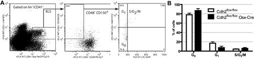 Figure 4. HSC cell cycling is normal in N-cadherin–deleted mice. (A) Representative dot plots for cell cycle analysis of KLS SLAM cells using DAPI and Ki67 staining. The gating strategy used to identify KLS SLAM cells is shown. (B) HSC cell cycle status (n = 5). Data are the mean ± SEM.