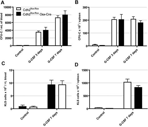 Figure 5. G-CSF induced hematopoietic progenitor mobilization is normal in N-cadherin–deleted mice. Mice were treated with G-CSF (250 μg/kg per day) for 3 or 7 days, and the number of CFU-C (A,C) and KLS cells (B,D) in the blood and spleen were determined. Data are the mean ± SEM of 4 to 11 mice.