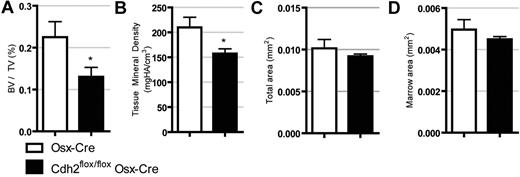 Figure 7. N-cadherin–deleted mice are osteopenic. MicroCT data demonstrating (A) bone volume/tissue volume, (B) tissue mineral density, (C) total cortical area, and (D) total cortical marrow area. Data are the mean ± SEM of 5 to 7 mice. *P < .05.