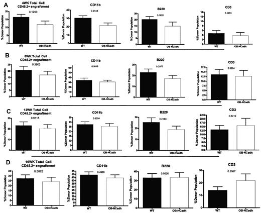 Figure 3. Lack of osteoblastic N-cadherin does not alter numbers of functional HSCs. Analysis of the peripheral blood after competitive transplantation shows the percentage of donor cells determined by cell surface expression of CD45.2 in the total peripheral blood cell population, CD11b+ population, B220+ population, and CD3e+ population. Recipient mice were analyzed at (A) 4 weeks, (B) 8 weeks, (C) 12 weeks, and (D) 16 weeks after transplantation of donor and competitor cells. n = 4 to 9 donors per genotype, 10 recipients per donor group.