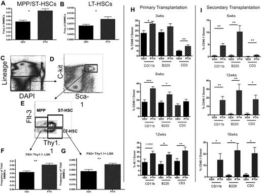 Figure 7. PTH treatment (3 times a day) increases LT- and ST-HSCs both phenotypically and functionally. (A) Frequency of MPP/ST-HSCs from VEH- or PTH-treated mice based on cell surface expression of CD150 and CD48, as shown in Figure 2. (B) Phenotypic quantification of LT-HSCs based on surface expression of CD150 and CD48, as shown in Figure 2. (C-E) Representative flow cytometry plots depicting the isolation of MPP, ST-HSCs, and LT-HSCs. (F) Frequency of the MPP population of cells as defined by panel E. (G) Frequency of the ST-HSC population of cells as defined by panel E. (H) Analysis of the peripheral blood after primary competitive transplantation shows the percentage of donor cells determined by cell surface expression of CD45.1 in the CD11b+, B220+, and CD3e+ population of cells. Recipient mice were analyzed at 3 weeks (top panel), 6 weeks (middle panel), and 12 weeks (bottom panel) after transplantation of donor and competitor cells. (I) Analysis of the peripheral blood from secondary transplantation recipient mice was performed at 6 weeks (top panel), 12 weeks (middle panel), and 16 weeks (bottom panel) after transplantation. *P < .05. **P < .01. ***P < .001. n = 6 per treatment group, 3 donors per treatment group, 10 to 20 recipients per treatment group.