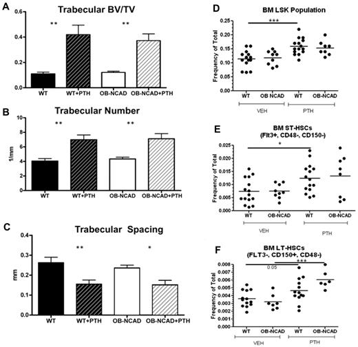 Figure 8. Lack of osteoblastic N-cadherin does not inhibit the ability of PTH treatment to increase trabecular bone or HSC subsets. (A-C) Micro-CT analysis of trabecular bone from the femur of VEH- and PTH-treated WT and OB-NCadh mice: (A) trabecular bone volume/total volume, (B) trabecular number, and (C) trabecular spacing. (D-F) Frequency of LSK (D), ST-HSCs (E), and LT-HSCs (F), as defined in Figure 2 in the BM of WT and OB-NCadh mice treated with VEH or PTH. *P < .05. **P < .01. ***P < .001. Each dot indicates an individual mouse.