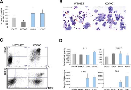 Figure 6. Cells lacking Gfi1 and Gfi1b are still able to generate hematopoietic cells. (A) Number of hematopoietic colonies generated by yolk-sac cells with the indicated genotypes after 8 days of culture. Values in the histogram correspond to an average of 3 technical replicates; the error bars correspond to the SEM. (B) Cytospins from hematopoietic colonies from panel A were stained with O-dianisidine, May-Grünwald-Giemsa. Arrows indicate erythroid cells (brown staining); stars indicate macrophages.(C) FACS analysis of SCA1/KIT and CDH5/TIE2 expression among cells of the indicated genotypes after clonogenic assay. Numbers indicate percentages. (D) Quantitative RT-PCR analysis of hematopoietic colonies generated in clonogenic assay.