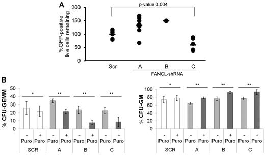 Figure 6. Suppression of FANCL expression in human CD34+ cord blood stem and progenitor cells leads to diminished β-catenin activity and multilineage progenitor expansion. (A) Approximately 3000 to 6000 CD34+ cord blood stem and progenitor cells were transduced with scrambled (Scr) or FANCL shRNA and the LEF-TCF-eGFP reporter. Cells were analyzed for eGFP expression after 3 days of puromycin selection (7 days total in culture). Remaining eGFP-positive cells were calculated by multiplying the starting CD34+ cells by the proportion of viable cells and the proportion of eGFP-positive cells. Each data point is expressed relative to the Scr condition. Shown are from 3 independent experiments (except FANCL shRNA construct B) with replicates plotted separately on the graph. The average of the 3 experiments is shown as a horizontal line within the graph. (B) Methylcellulose colony-forming assays were carried out as described. Colony count and type were scored; CFUs, GEMM colonies, and GM colonies. Summarized data are shown for 4 independent experiments (mean ± SEM). There were very few erythroid burst-forming units in these experiments. *Not statistically significant; **P < .04, Student t test. For these studies, transduced CD34+ cells were selected for puromycin resistance. In the colony-forming assays, unselected (no puromycin) cells were also grown to control for any potential effects of viral transduction on cell viability and colony formation that are independent of FANCL suppression.