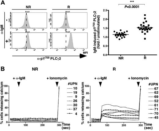 Figure 2. BCR triggering promotes PLCγ2 phosphorylation and calcium mobilization in responding CLL B cells. (A) Phospho-Y759-PLCγ2 levels were analyzed using a specific PE-coupled antibody in CLL B cells (CD20+/CD5+/CD3−) by flow cytometry analysis. Histogram plots show pY759 PLCγ2 MFI in unstimulated (α-IgM−, top) and stimulated (α-IgM+, bottom) B cells from 1 representative patient for each CLL group (NR, left; R, right). Phospho-PLCγ2 was measured for 43 samples after 10 minutes of incubation with anti-IgM antibody in NR (n = 20, black dots) and R (n = 23, black squares) cases, calculated as fold induction over unstimulated cells and graphed. (B) Calcium release curves established in NR (n = 7, left) and R (n = 8, right) cases. After 60-second stabilization, CLL B cells were stimulated with anti-IgM antibody (+ α-IgM) followed at 290 seconds by ionomycin addition (+ ionomycin).