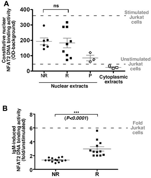 Figure 4. On BCR ligation, NFAT2 is differentially activated in B cells from both groups of patients. (A) Nuclear or cytoplasmic extracts from freshly isolated B cells from R (n = 9) and NR (n = 6) cases and from unstimulated or CD3+/CD28+-stimulated Jurkat cell line (horizontal dashed lines) were analyzed for their NFAT2 DNA-binding ability using an ELISA-derived assay. Competition with a specific oligonucleotide was used to ensure binding specificity (P, probe; n = 3). No statistical difference (ns) was observed between NR and R patient extracts. (B) Nuclear extracts from NR (n = 13) and R (n = 12) cells stimulated or not with an anti-IgM antibody (10 μg/mL/106 cells) for 18 hours were used following the same protocol as described in panel A. Results are presented as fold induction of the NFAT2 DNA-binding ability on stimulation.