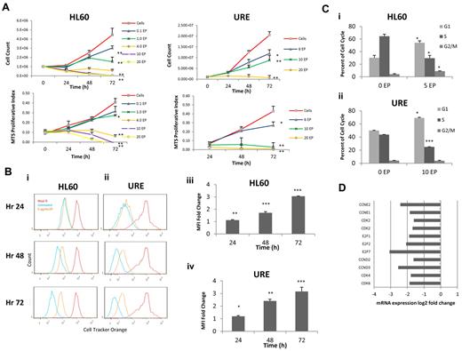 Figure 1. EP inhibits cell cycling and leads to a block in the G1 phase. (A) HL60 and URE cells were treated with increasing concentrations of EP. Cell viability was measured by cell counts with trypan blue exclusion (top panel), and MTS assays (bottom panel) were performed every 24 hours for 72 hours. Data represent the means ± SD of viable cells performed in triplicate and MTS proliferative index. *P < .05; **P < .01. (B) HL60 cells (i) and URE cells (ii) were incubated in 10μM Cell Tracker Orange for 30 minutes, washed, and analyzed by FACS (red line = hour 0). Cells were treated without EP (blue line) or with 5 μg/mL of EP (orange line) and FACS analysis was performed every 24 hours for 3 days. Lower mean fluorescence indicates increased cell division. The fold change of HL60 cells (iii) and URE cells (iv) of FACS mean fluorescence intensity (MFI) ± SD (n = 3) of Cell Tracker Orange–labeled HL60 cells treated with 5 μg/mL of EP relative to untreated cells is shown. *P < .05; **P < .01; ***P < .001. EP slows cell division in HL60 and URE cells because higher MFI represents slower cell division. (C) Cell-cycle analysis of HL60 cells (i) and URE cells (ii) with or without 5 or 10 μg/mL of EP for 48 hours. EP induces a cell-cycle block in G1 phase with a subsequent decrease in the S phase. (D) The fold change variation of gene expression by microarray in HL60 cells treated with 3 μg/mL of EP for 36 hours relative to untreated cells. EP down-regulated genes necessary for the transition from the G1 to the S phase.