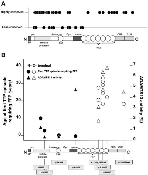 Figure 4. Evolutionary conservation, associated ADAMTS13 plasmatic activity, and age at first TTP episode requiring FFP of N- and C-terminal mutations of ADAMTS13. (A) Evolutionary conservation of amino acid residues affected by missense mutations of ADAMTS13 associated with congenital TTP in all cases reported in the literature. Conservation was estimated using SIFT. (B) Residual activity of ADAMTS13 and age at first TTP episode requiring FFP of patients with different C- and N-terminal mutations. Only mutations in homozygosis were considered.