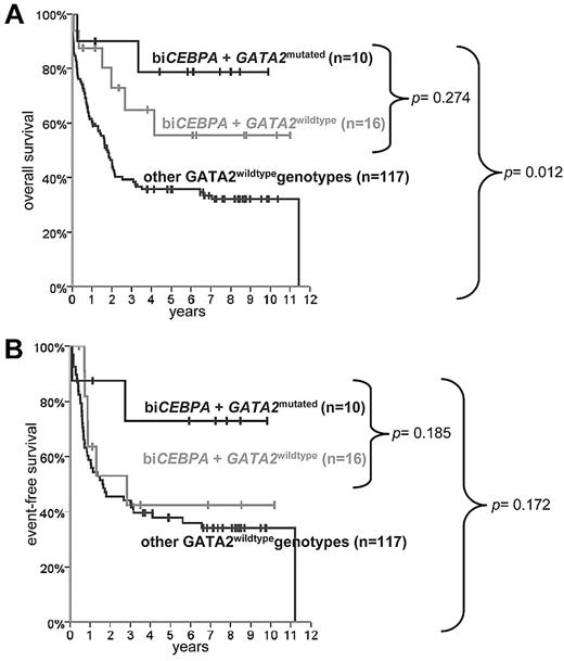 Figure 4. Survival according to GATA2 mutational status in 143 CN-AML patients. OS (A) and EFS (B) within biCEBPA patients according to the GATA2 mutational status and compared with other GATA2 wild-type CN-AML patients (P, log rank test).