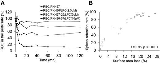 Figure 3. Clearance of LPC-treated RBCs by isolated perfused human spleens. (A) Data from a representative experiment showing kinetics of circulating LPC-treated RBCs recovered from the perfusate over 2 hours of splenic perfusion. RBCs were differentially labeled with the lipophilic fluorescent probes PHK26 and/or PKH67, enabling the distinction of 4 separate LPC-treated RBC populations by flow cytometry. (B) Linear regression fit of the correlation between EImax and the level of LPC-treated RBC retention within the spleen (n = 9 independent experiments).